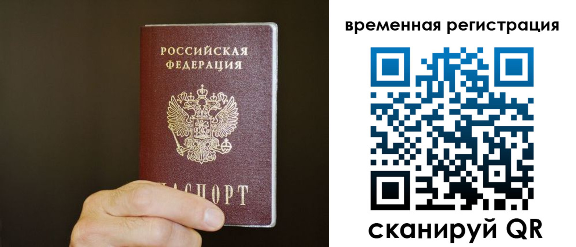 прописка гарантия в Бердске
